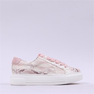 Paul Green Platform Side Zip Thick Lace - Rose Snake